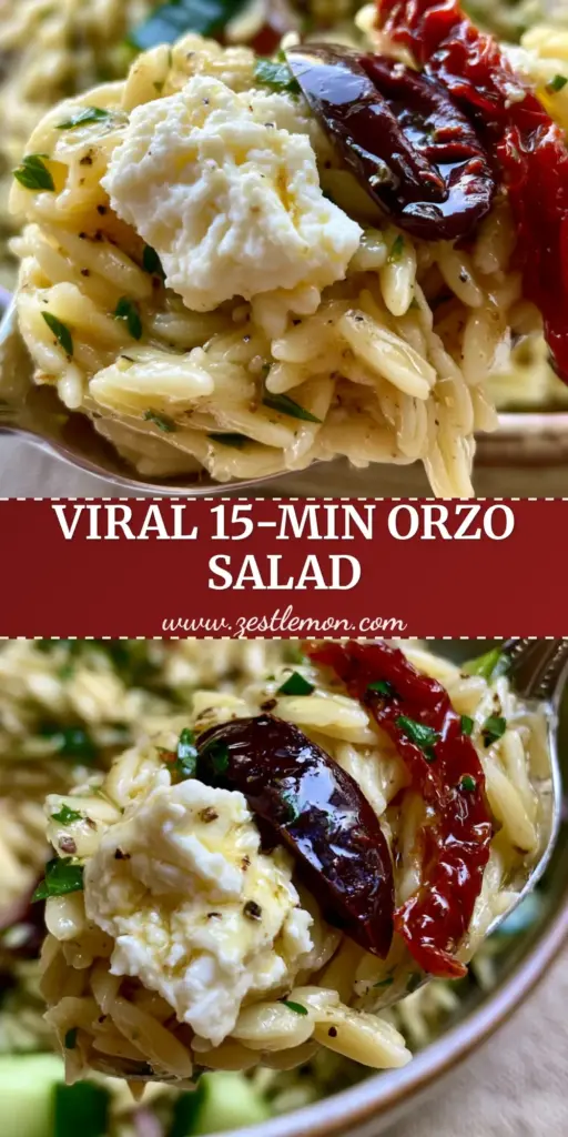 Orzo Salad with Zesty Lemon-Herb Vinaigrette and Chunky Feta 4 A vibrant bowl of Orzo salad with chunky feta, Kalamata olives, and sun-dried tomatoes on a linen background.